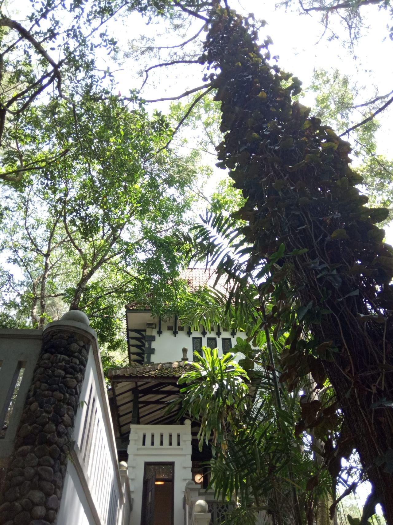 5 Hotel Dekat Museum Ullen Sentalu untuk Wisatawan Budaya